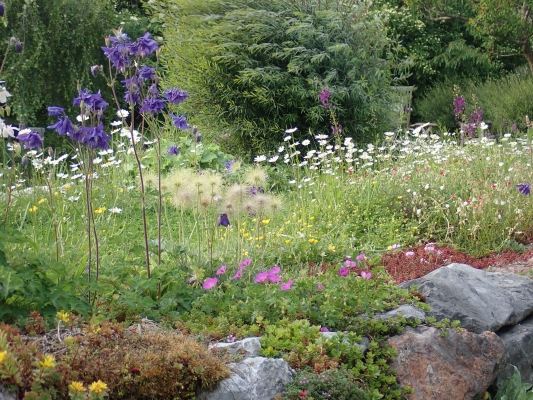 Naturgarten Naturgarten