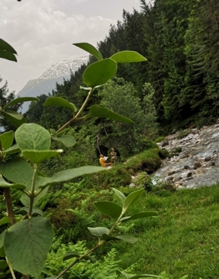 Eine neue Form des Miteinander - inmitten kraftvoller Natur